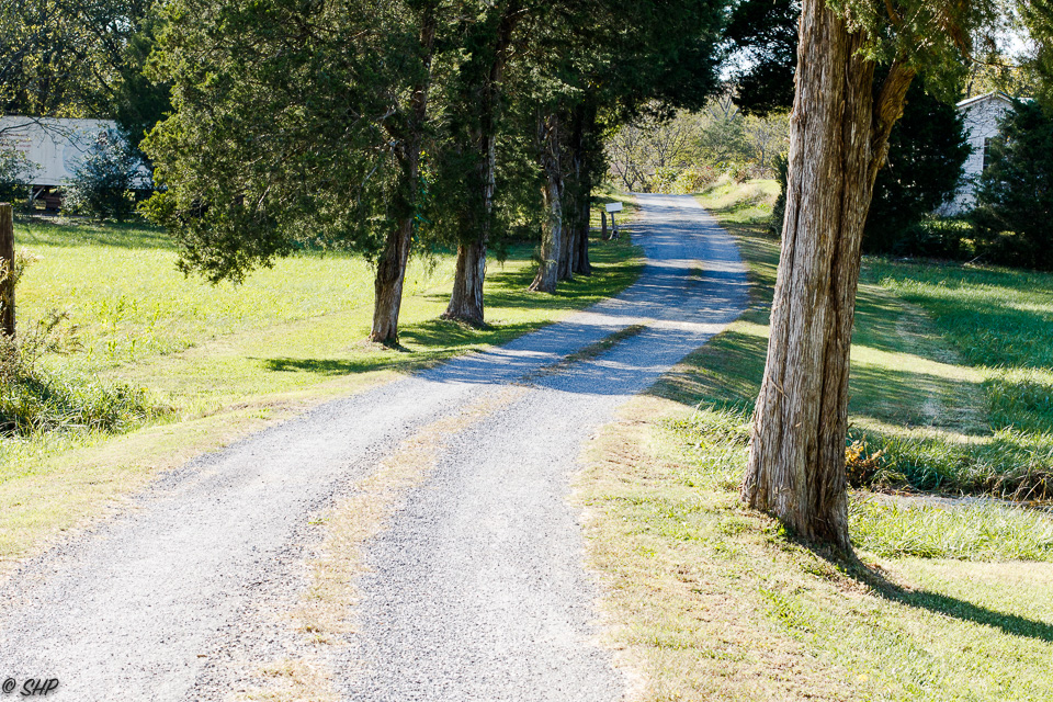 Road to the Sisson Homeplace ©SHP 2017-0903.jpg