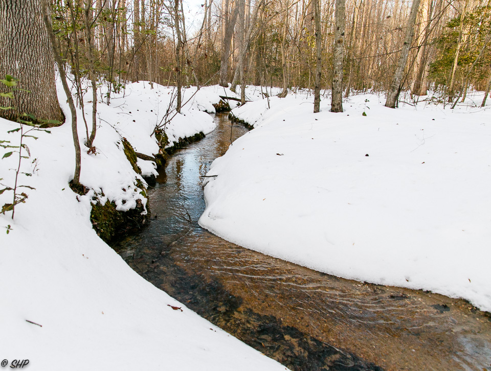 Snowy Creek ©SHP 2016-0204.jpg