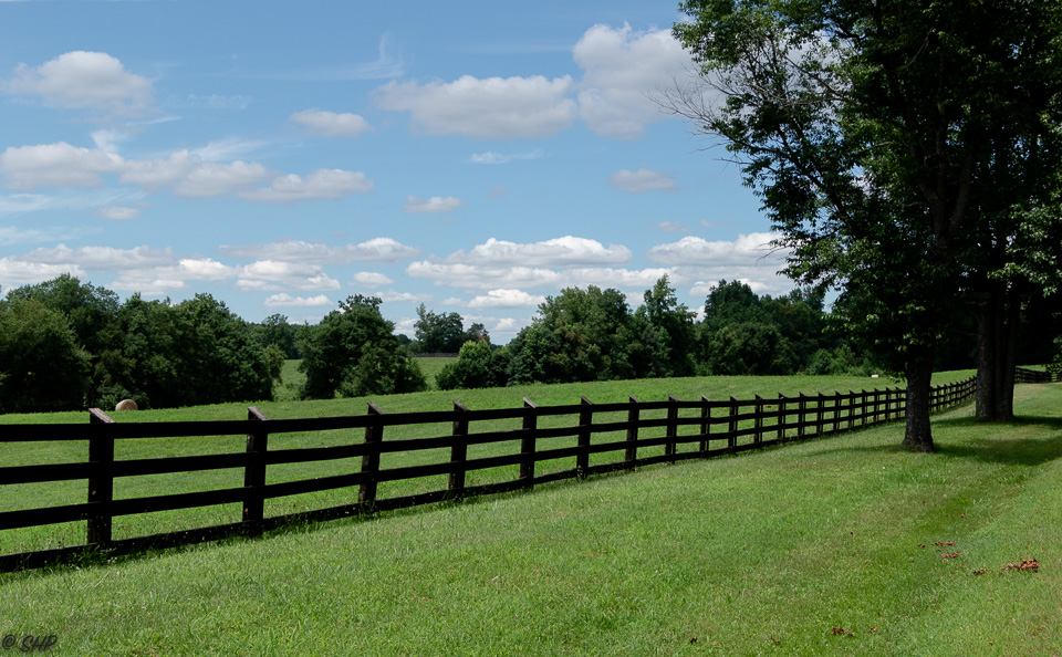 12-Field with fence and Blue Skies ©SHP 2018-0562.jpg