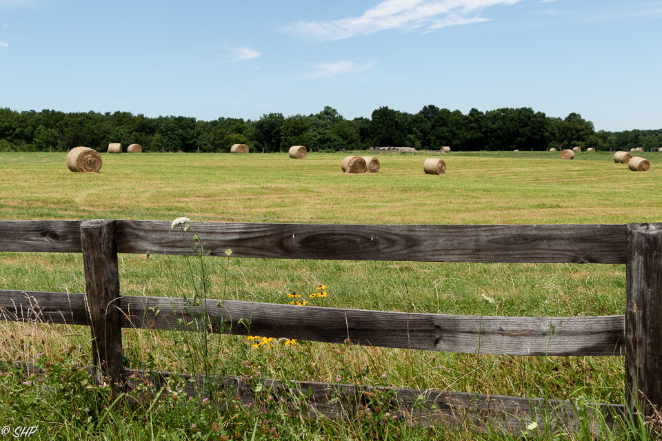 7-Hay Field Spotsylvania ©SHP 2018-0556.jpg