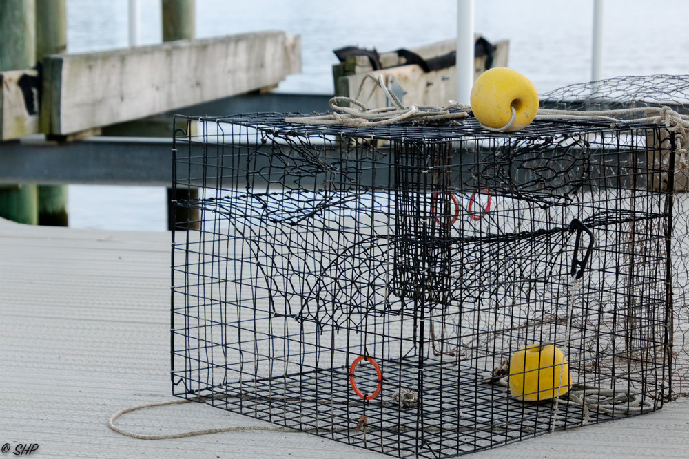 Crab Pot on Dock ©SHP 2018-0323.jpg