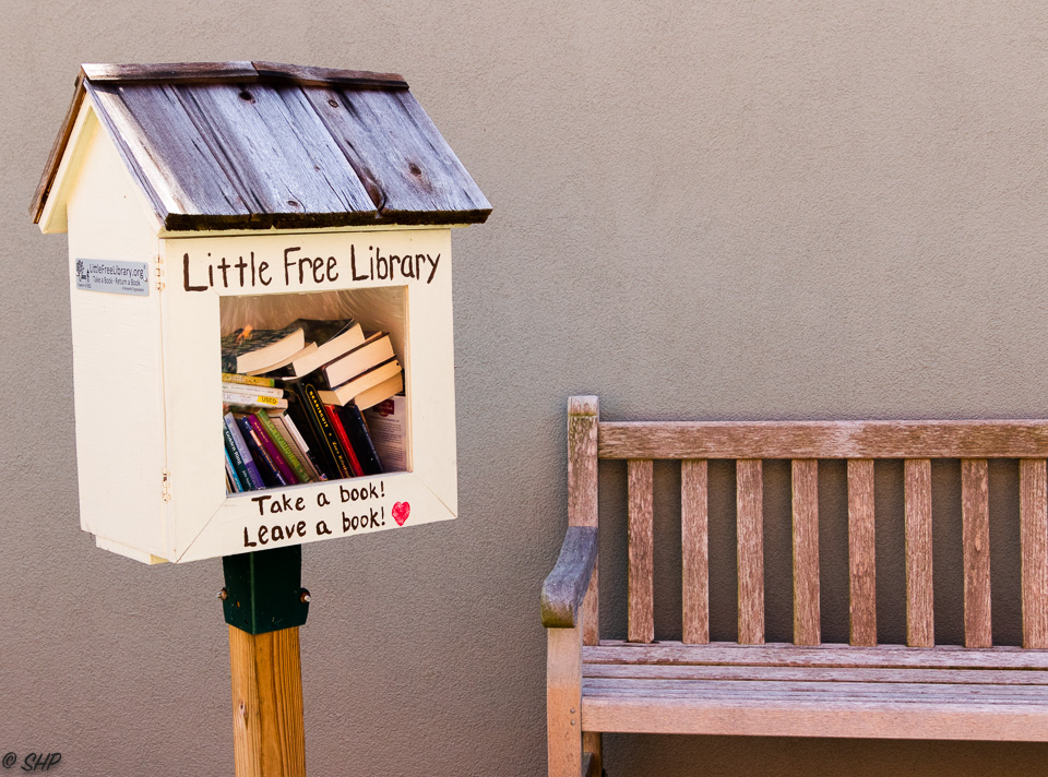 26-Little Free Library Louisa VA ©SHP 2018-0479.jpg