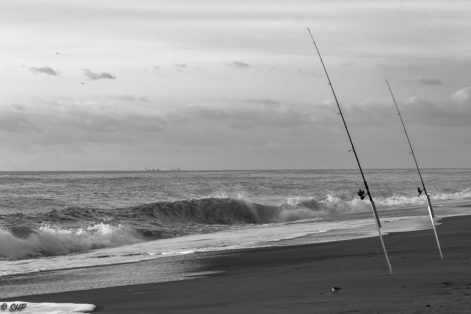 Fishing Poles ©SHP 2017-0128.jpg