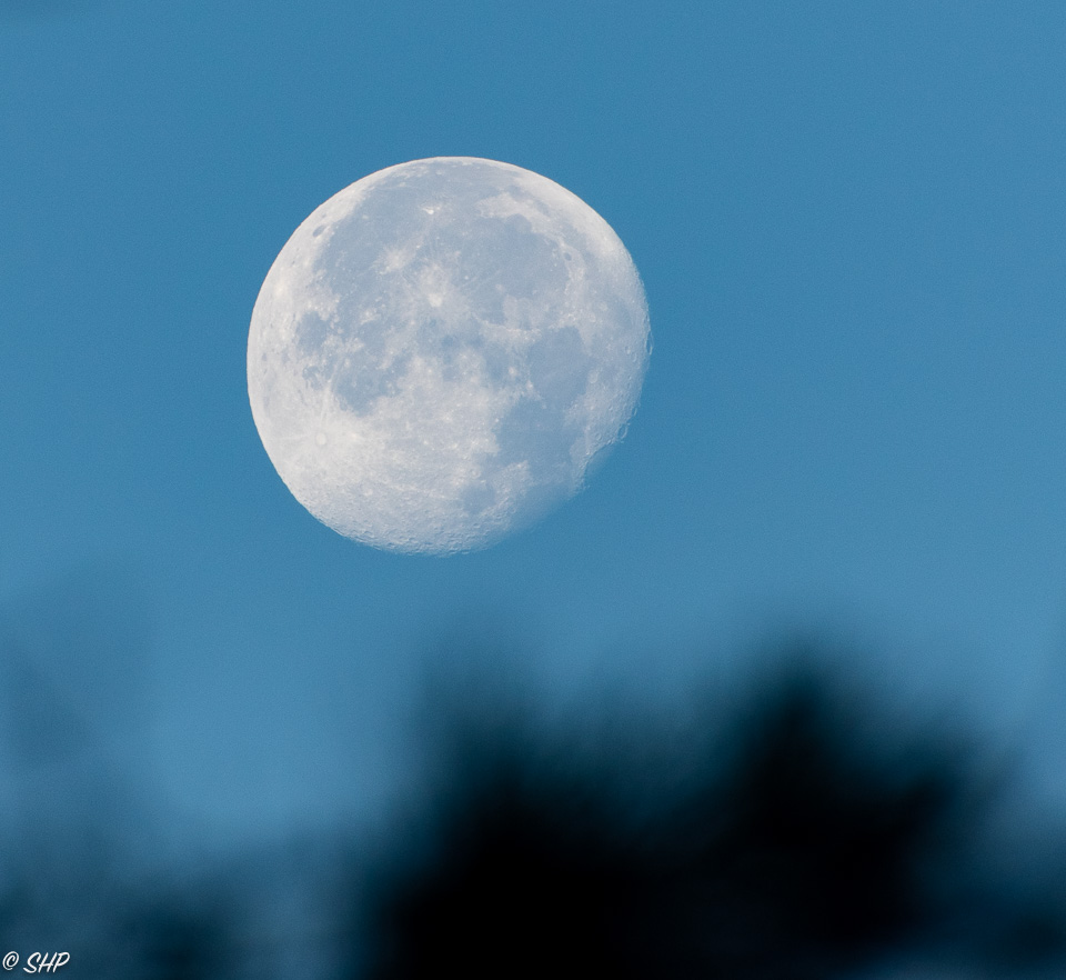 25-Full Moon in Morning ©SHP 2018-0554.jpg
