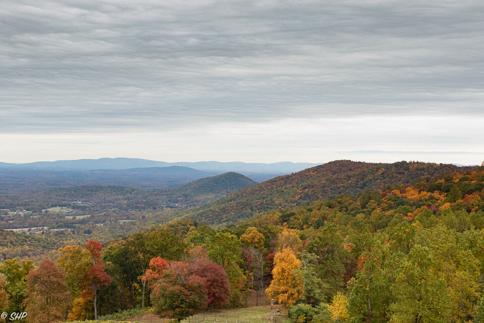 Fall in Virginia ©SHP 2019-0233.jpg