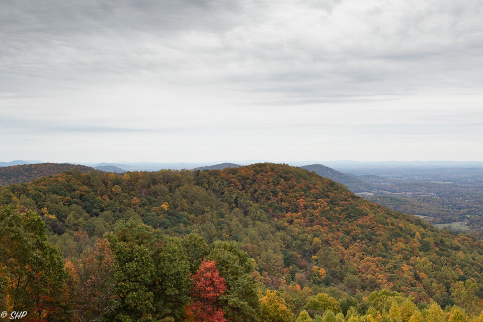 Fall in Virginia ©SHP 2019-0237.jpg