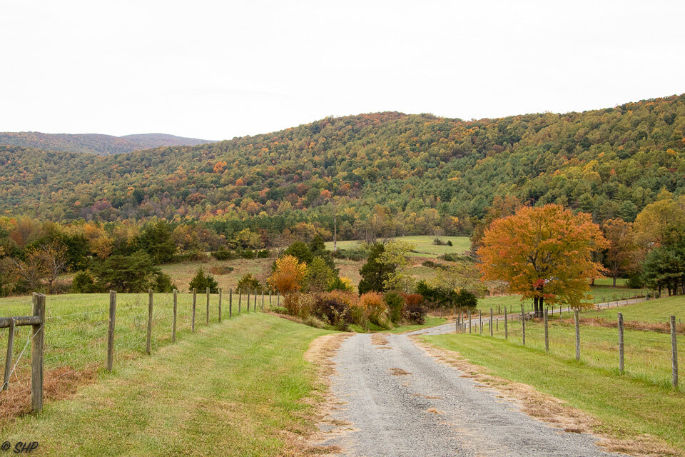 Fall in Virginia ©SHP 2019-0294.jpg