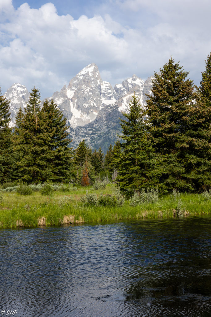 Grand Tetons with evergreens overlooking Snake River